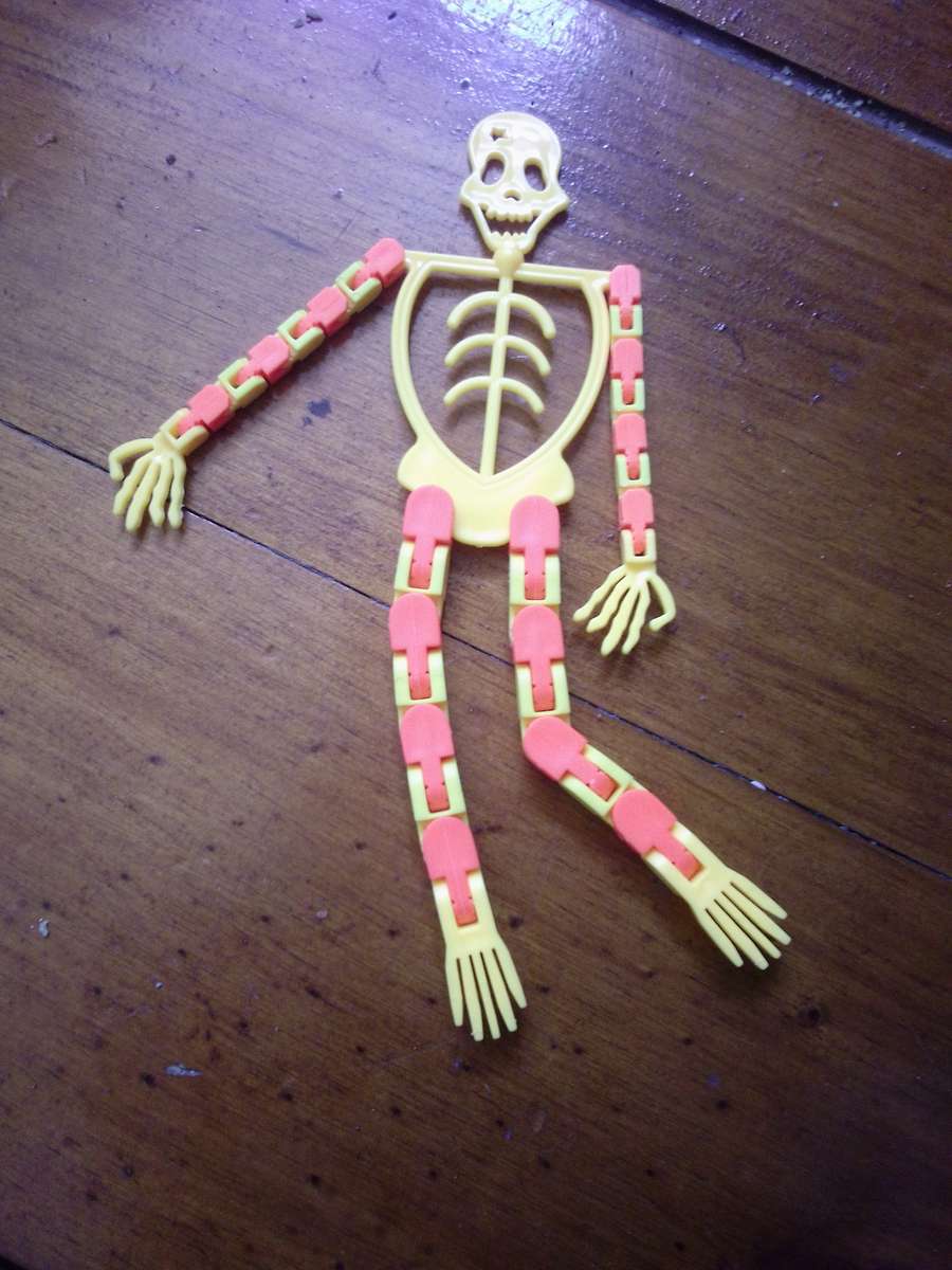 Yellow & Orange Articulated Skeleton