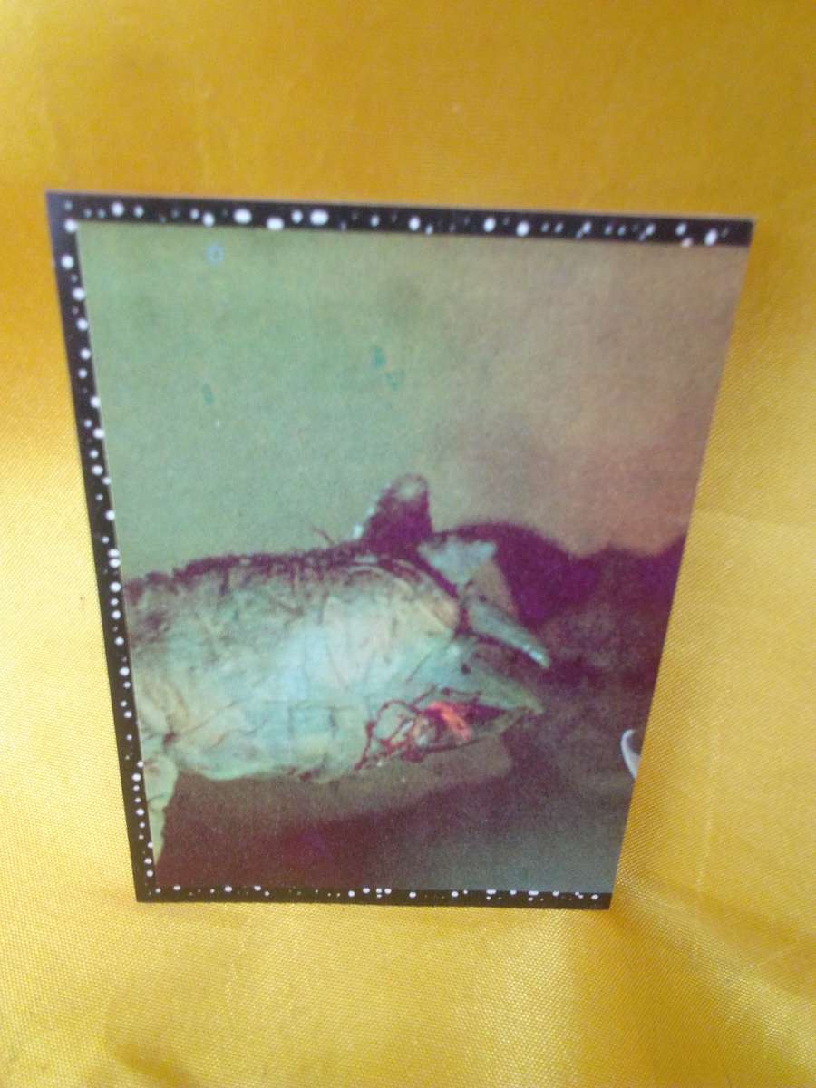 1996 Panini Star Wars #21 Sticker