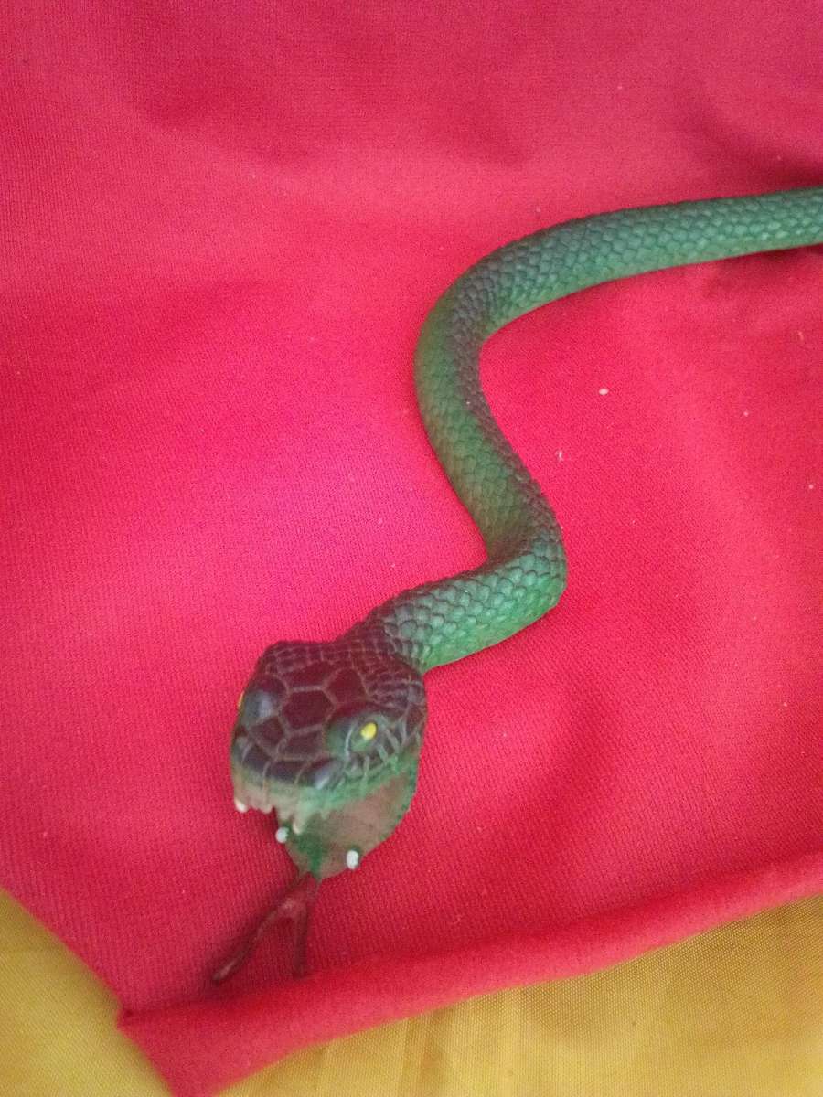 Rubber Snake (Never need a car Guard again)