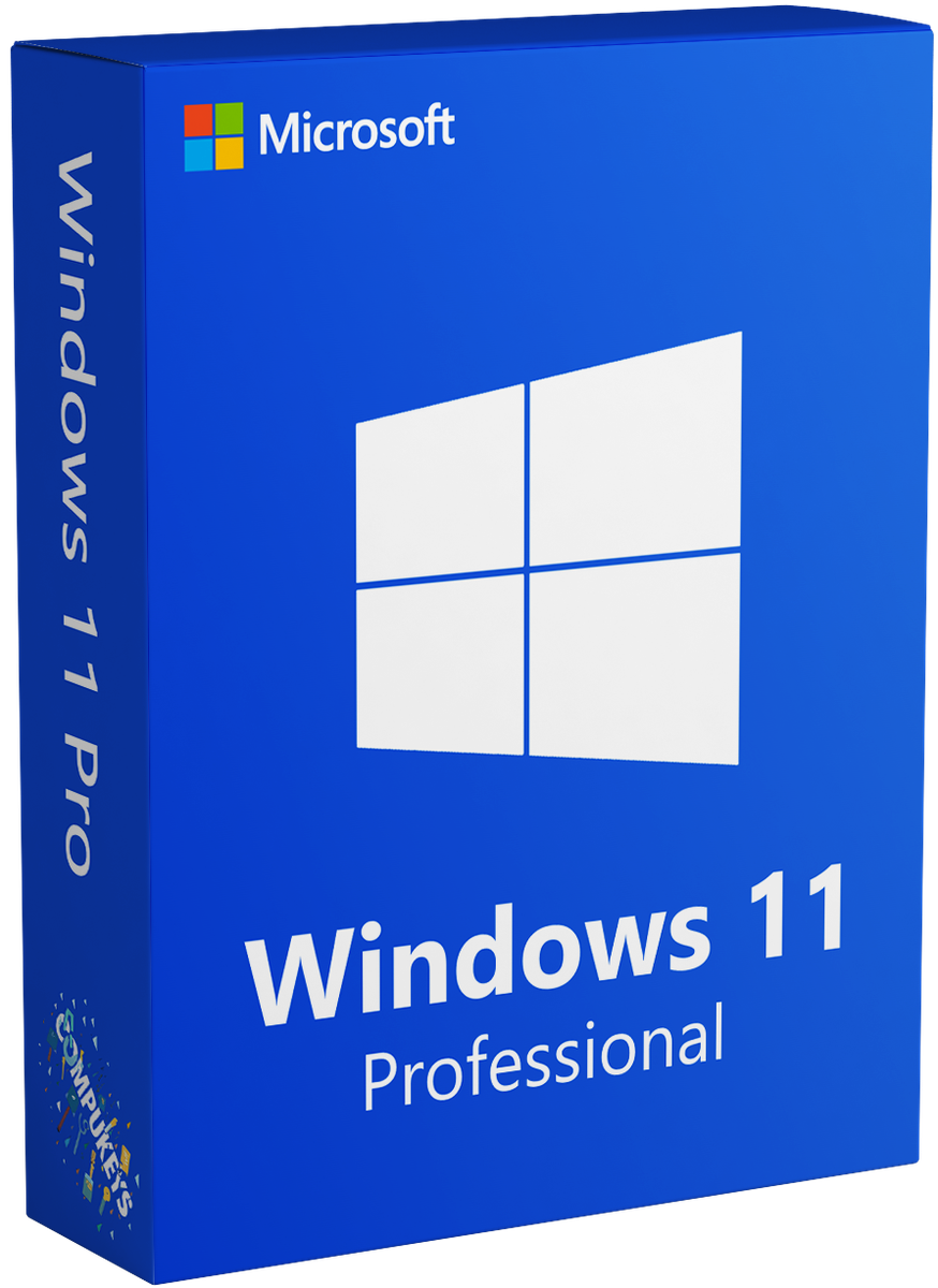 Windows 11 Professional