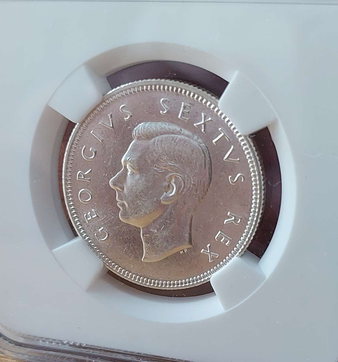 - 1949 SAU 2 Shillings, NGC AU58, Gorgeous Coin, 1 Grade shy of Uncirculated -