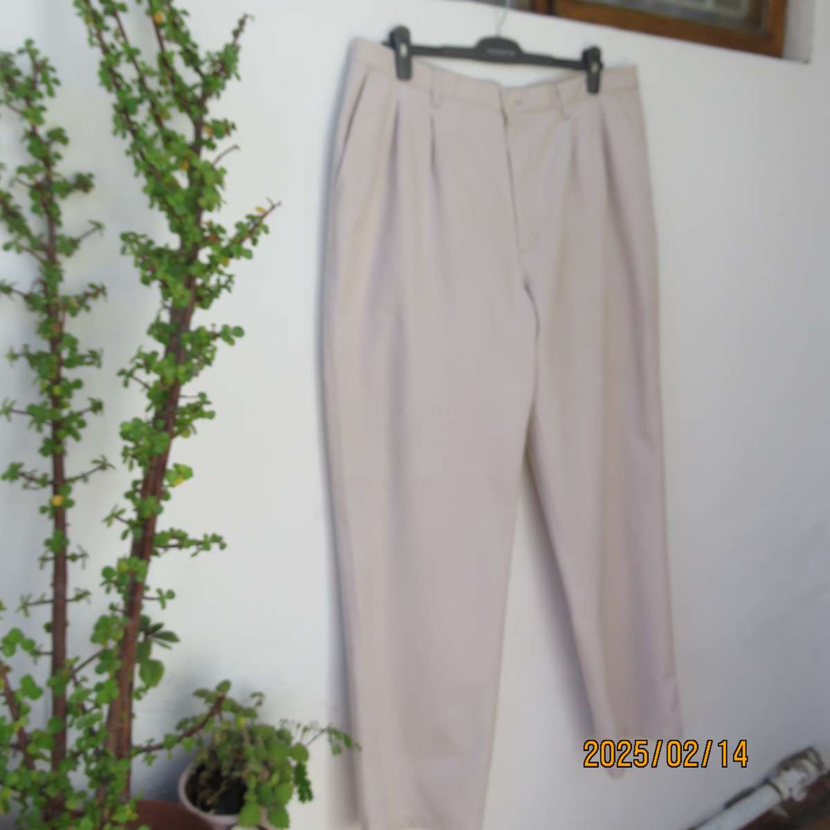 PRO SPIRIT 100% cotton light beige pants. Pleats on front. Size 36. Leg tapering. As new condition.