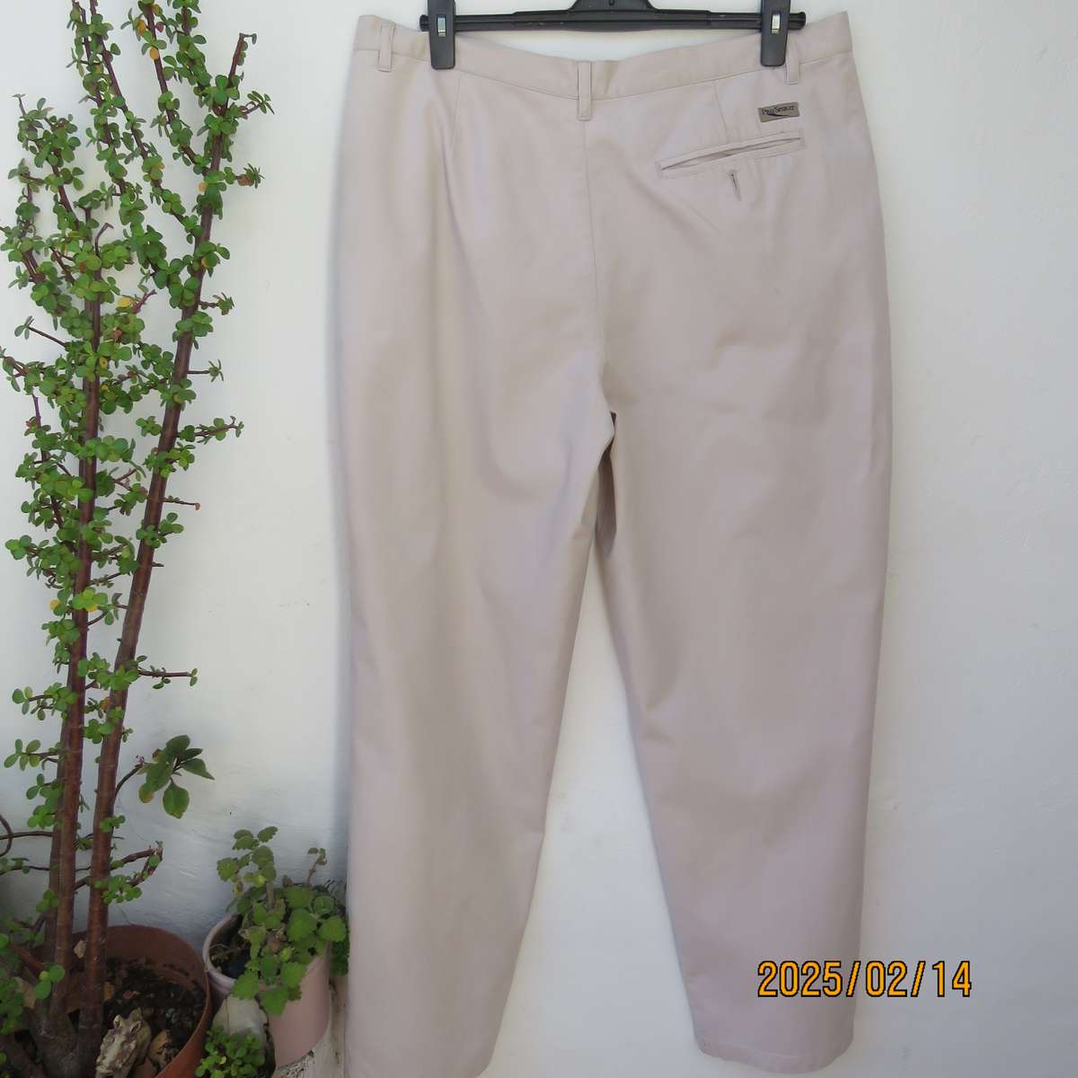 PRO SPIRIT 100% cotton light beige pants. Pleats on front. Size 36. Leg tapering. As new condition.