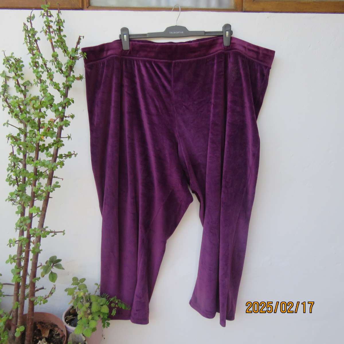 DONNA-CLAIRE purple velvet stretch polyester leisure pants size 54. Elasticated waist. As new cond.