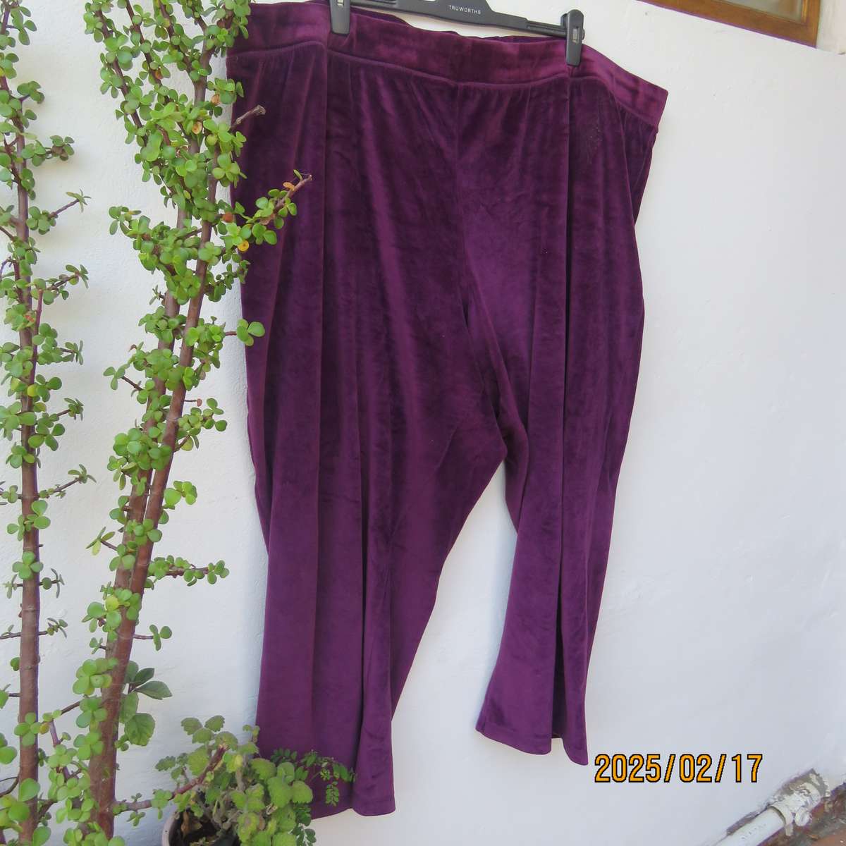 DONNA-CLAIRE purple velvet stretch polyester leisure pants size 54. Elasticated waist. As new cond.