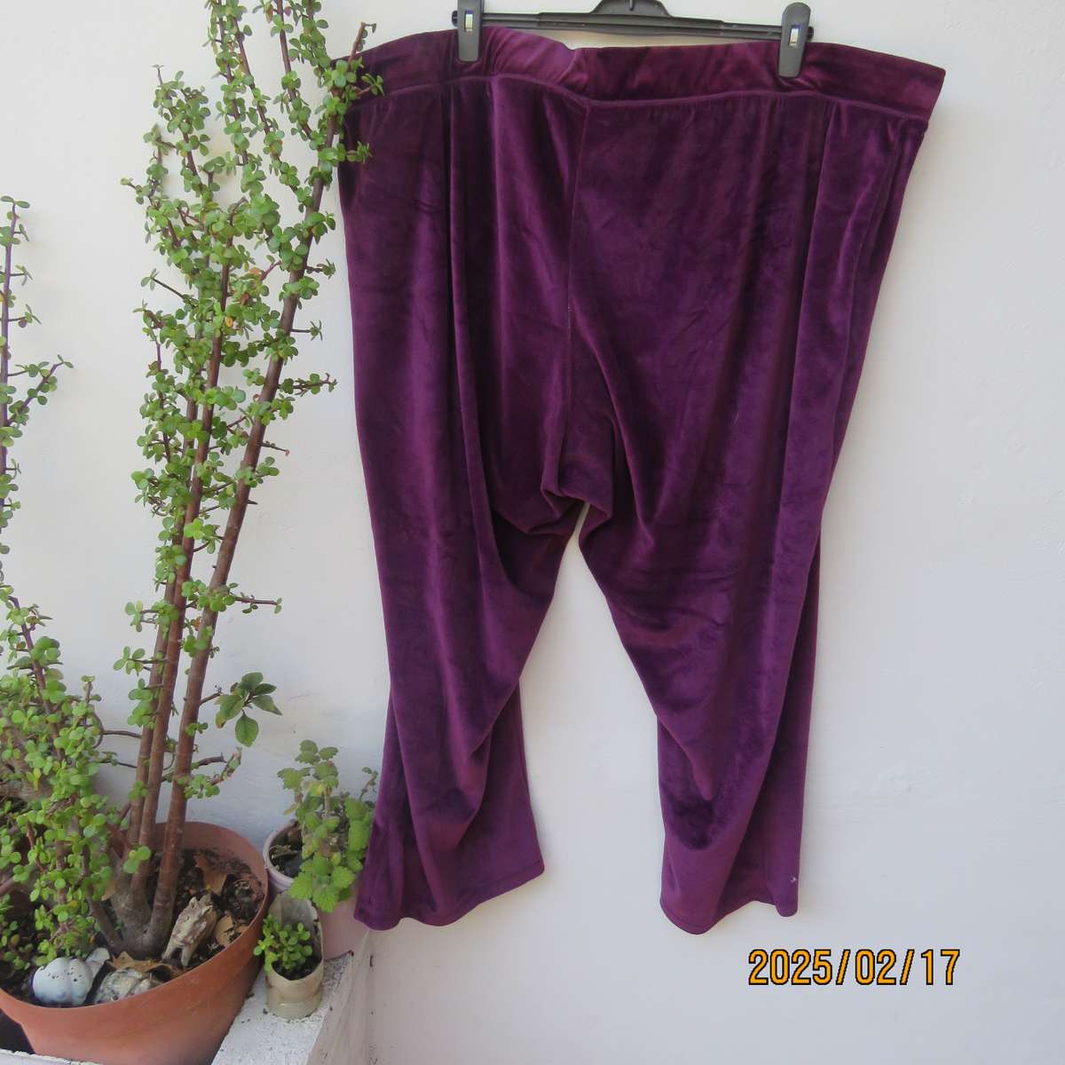 DONNA-CLAIRE purple velvet stretch polyester leisure pants size 54. Elasticated waist. As new cond.