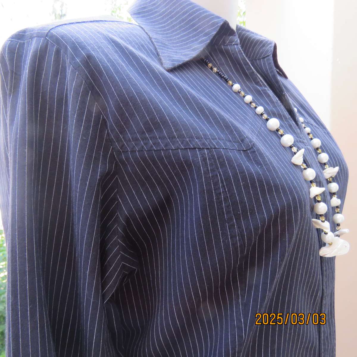 RE black-white pinstripe long sleeve stretch cotton top. Cowboy yokes. Size 36. Hidden button down.