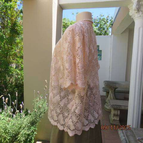 Blushing apricot acrylic lace slip over short sleeve top. Scalloped edging. Size 42