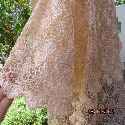 Blushing apricot acrylic lace slip over short sleeve top. Scalloped edging. Size 42