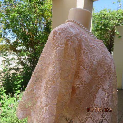 Blushing apricot acrylic lace slip over short sleeve top. Scalloped edging. Size 42