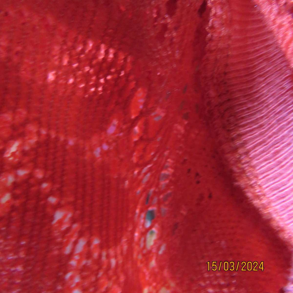 AUDACITY red see through polyester lace button down cover up. Size 36. Ribbed hems