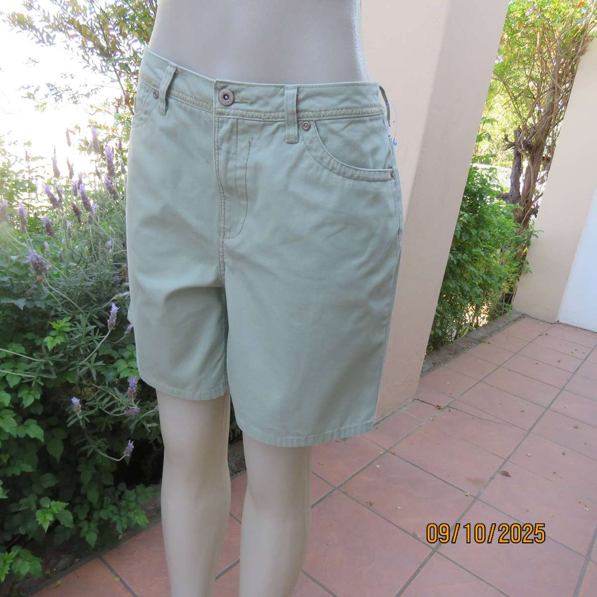 FADED GLORY light olive green ladies 100% cotton shorts size 36.