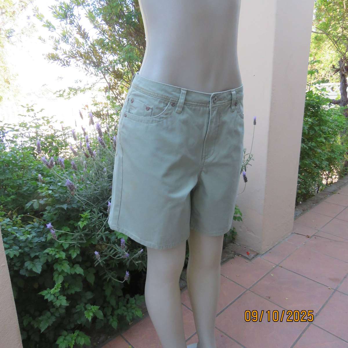 FADED GLORY light olive green ladies 100% cotton shorts size 36.