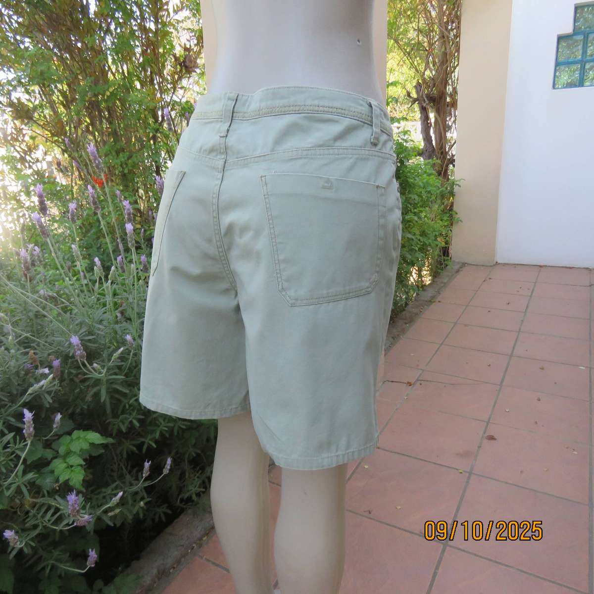 FADED GLORY light olive green ladies 100% cotton shorts size 36.
