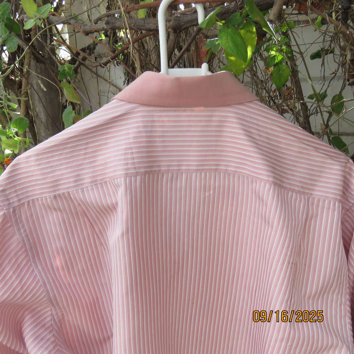 DIFANCHY vertical light peach with thin embossed white stripes. Size M