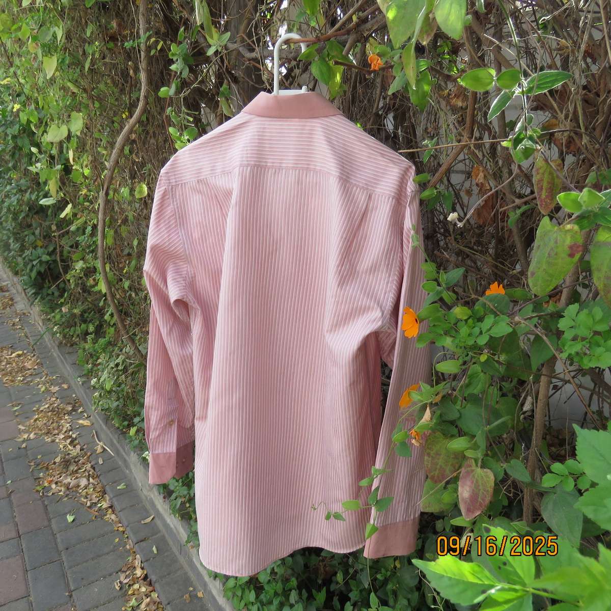 DIFANCHY vertical light peach with thin embossed white stripes. Size M