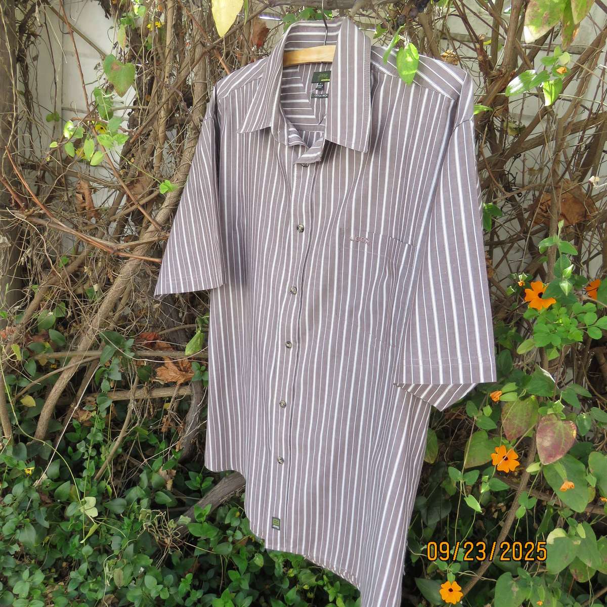 JEEP ecru-cream vertical striped short sleeve shirt in cotton. Size Large.