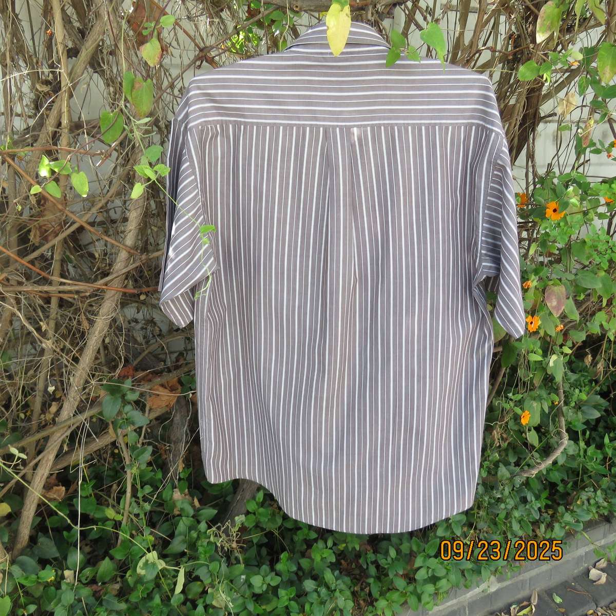 JEEP ecru-cream vertical striped short sleeve shirt in cotton. Size Large.