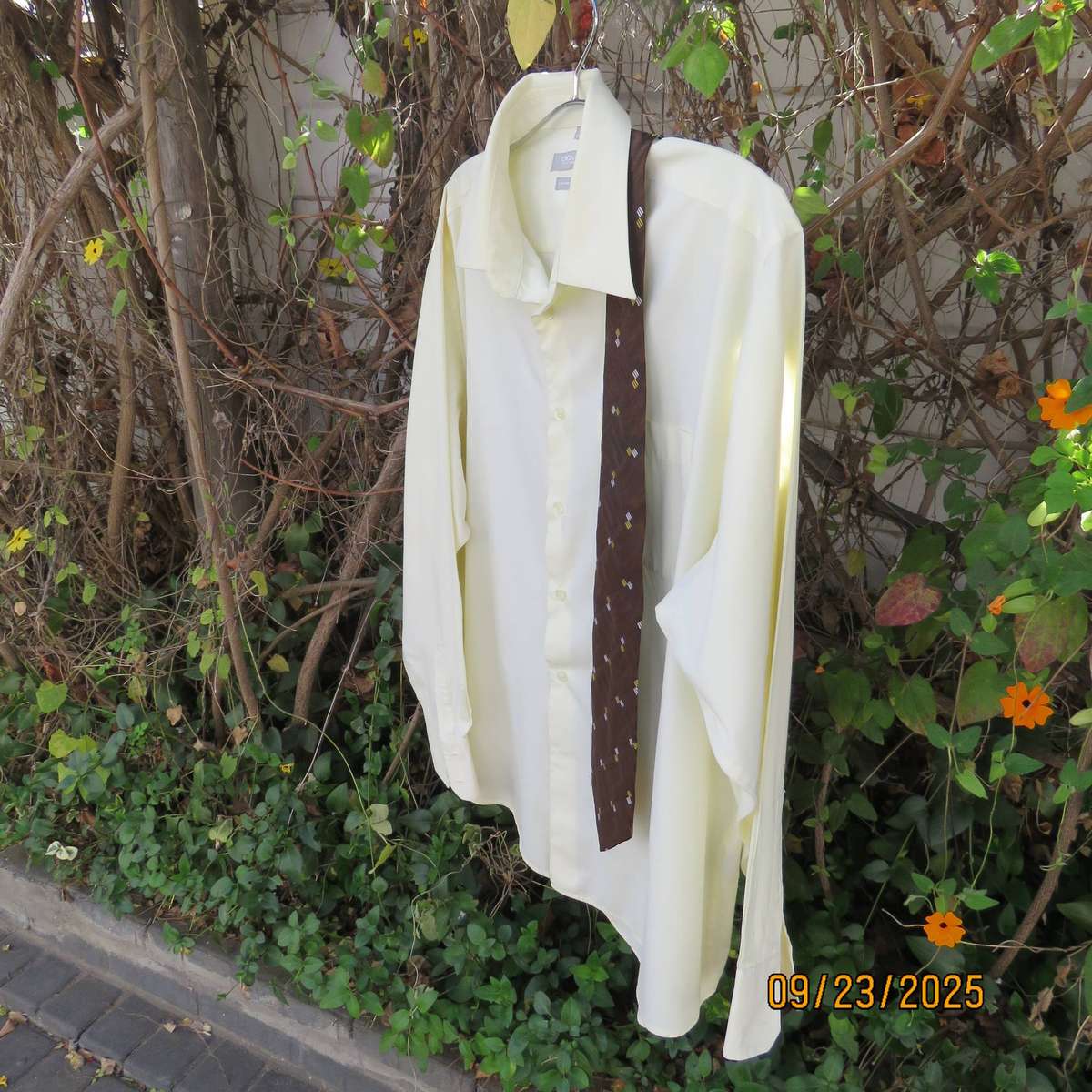 CIGNAL pastel yellow long sleeve polycotton shirt with free tie. Size XXL