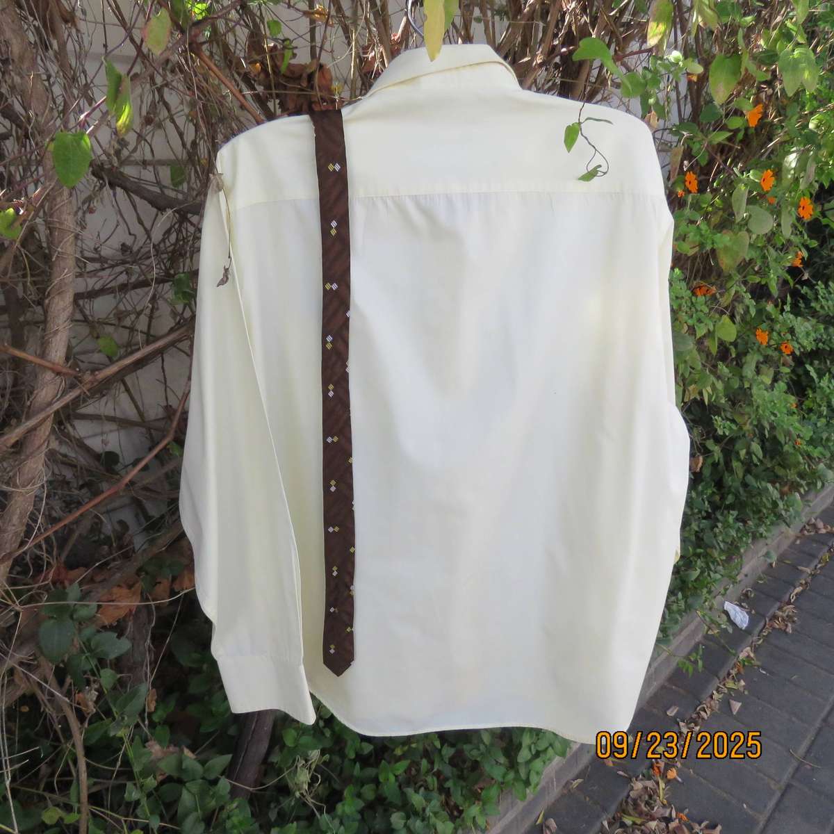 CIGNAL pastel yellow long sleeve polycotton shirt with free tie. Size XXL