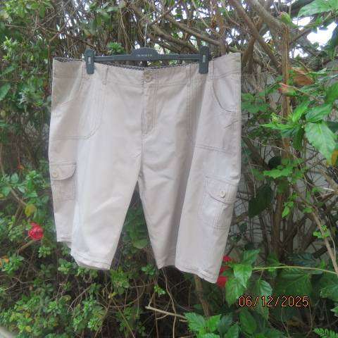 Dark beige ladies shorts in 100% cotton with 2 pockets back-front and sides. Size 46