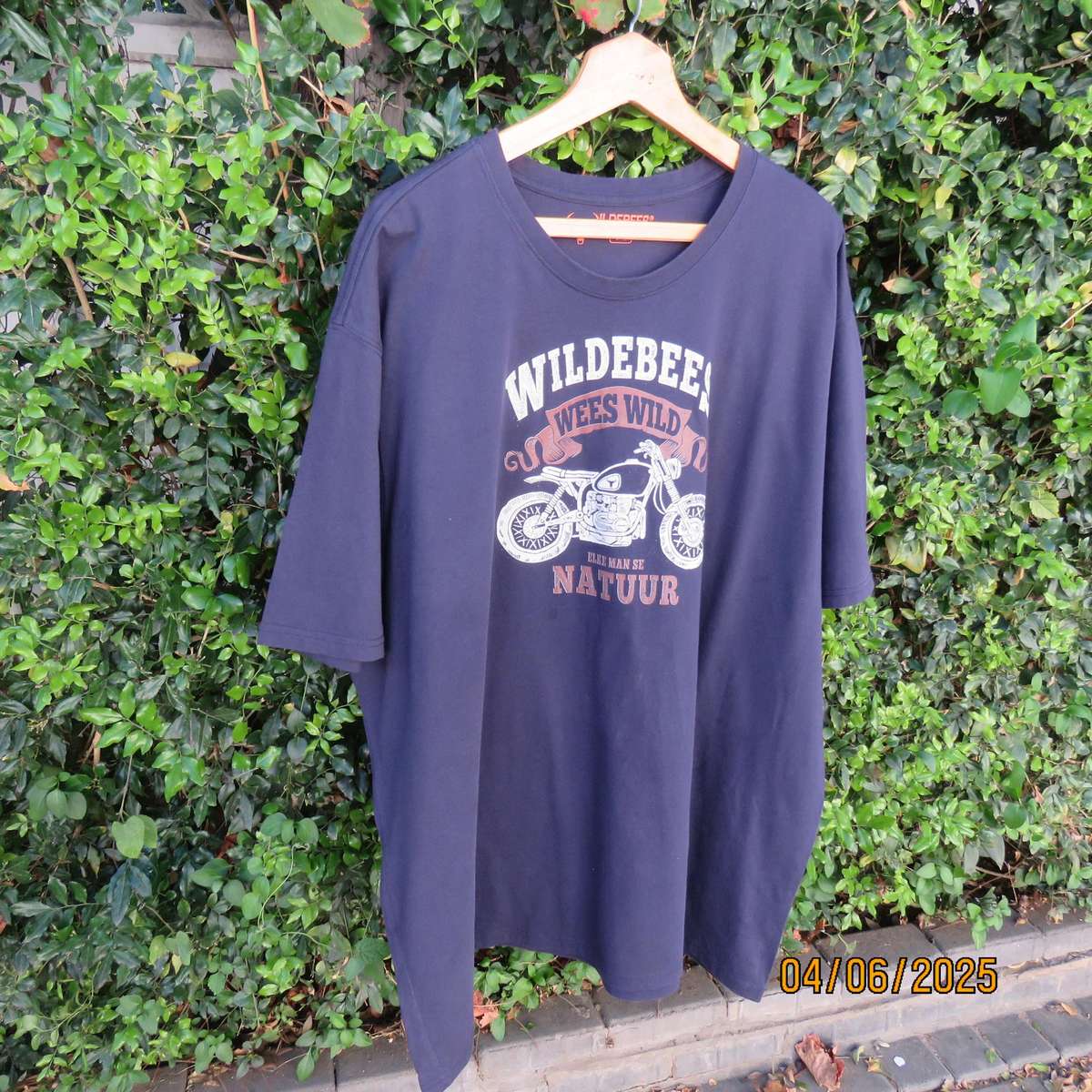WILDEBEES navy T shirt in 100% cotton. Size 5XL with short sleeves. As new