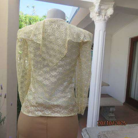 MICHELLE gold acrylic lace long sleeve top. Front slit. Wide pointed collar. Size 32