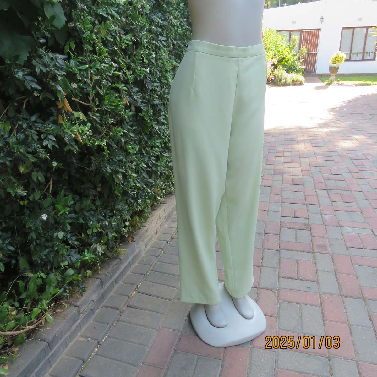 Pastel green dress pants with tapered legs. Flat front-elasticated back. Size 44. Firm textured poly