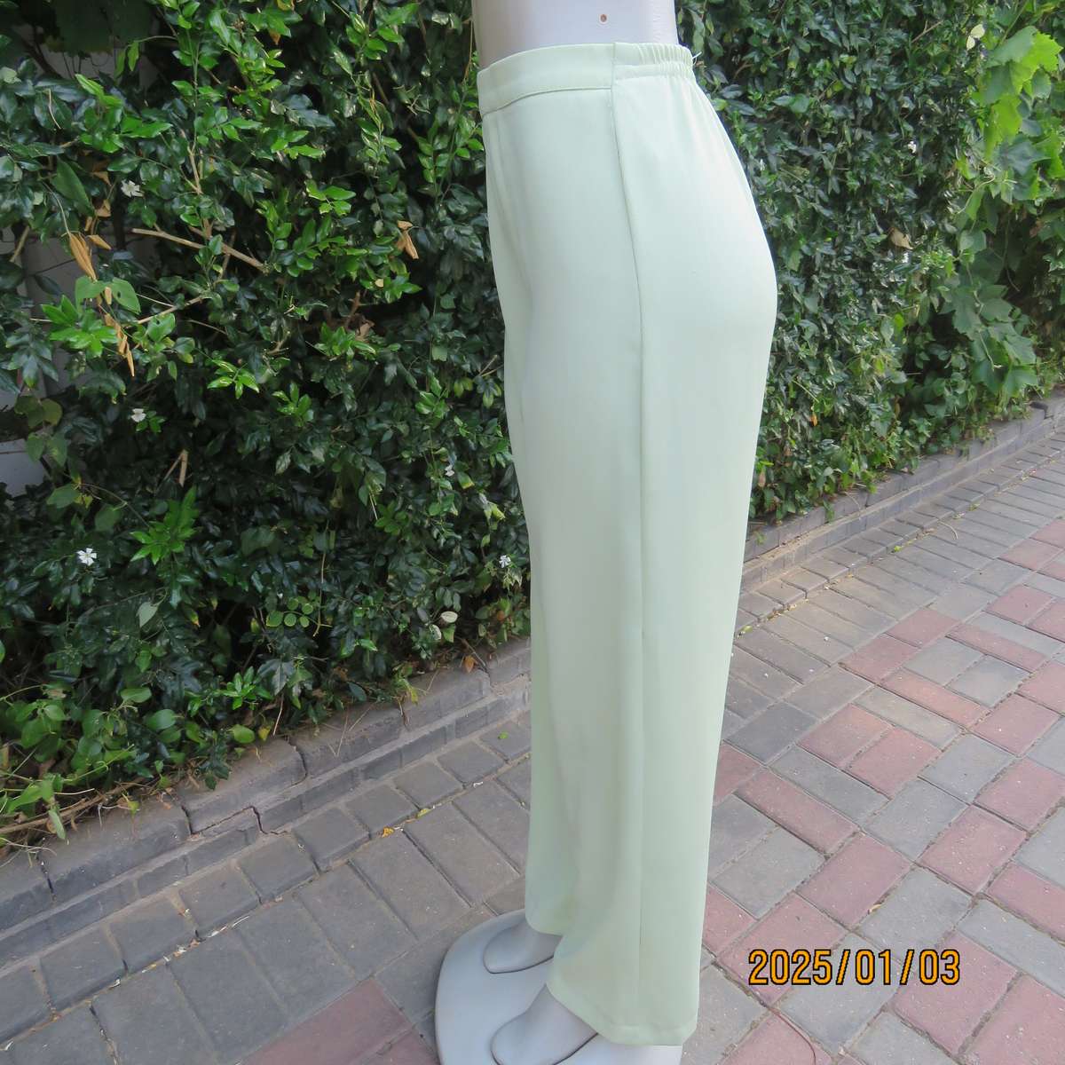 Pastel green dress pants with tapered legs. Flat front-elasticated back. Size 44. Firm textured poly