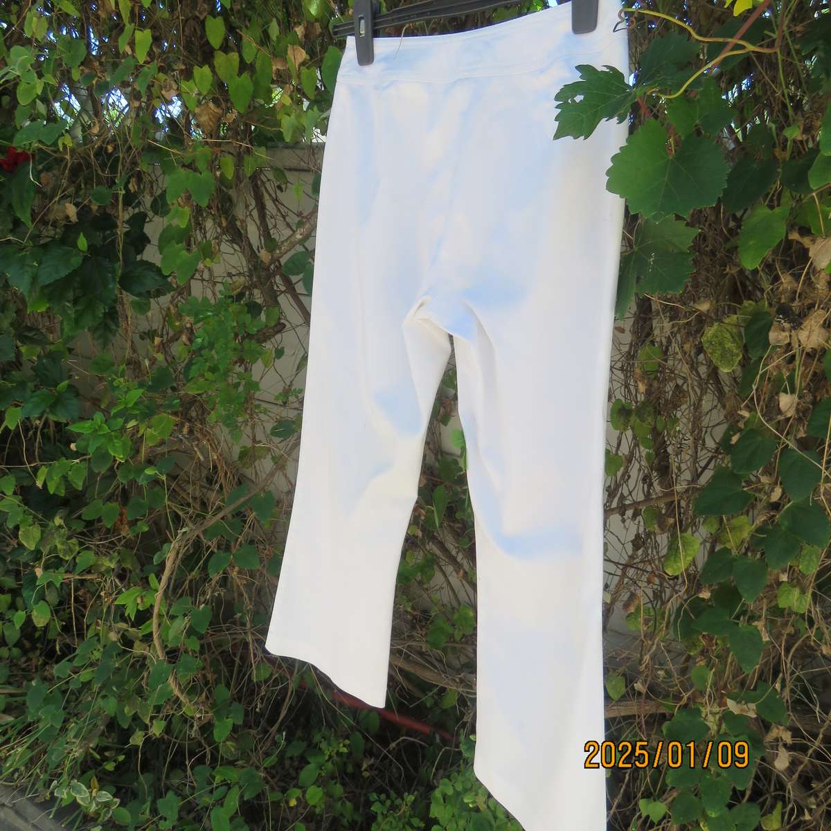 WOOLWORTHS  very white size 32 pants in stretch cotton. No pockets. As new condition