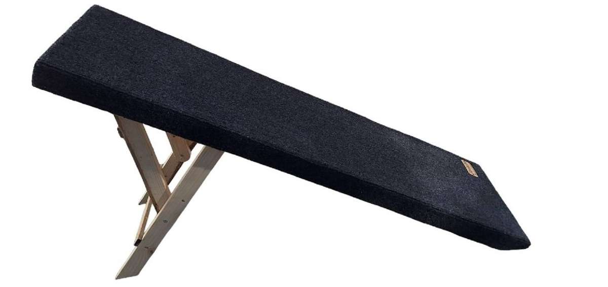 Ramp - dogs or cats