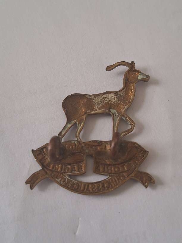 WW2 Pretoria regiment badge