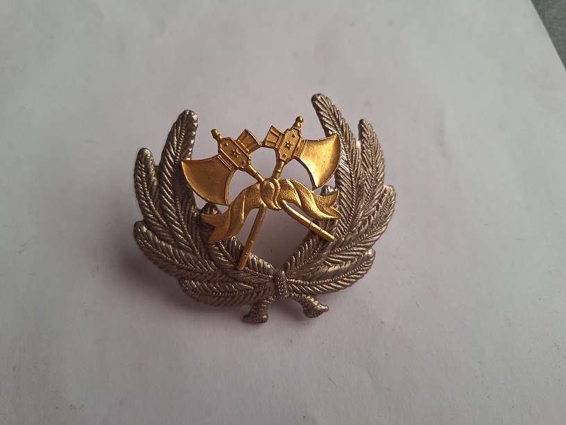 SA Fire Brigade badge