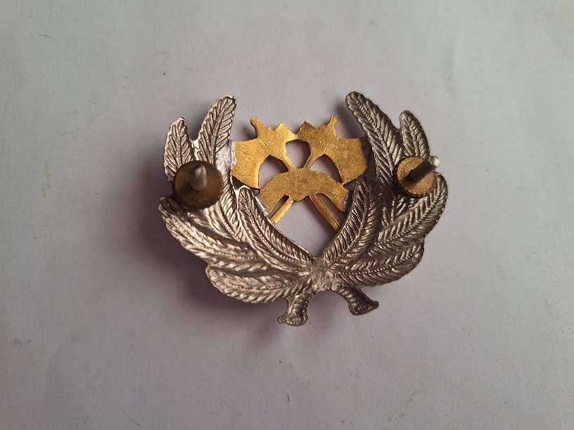 SA Fire Brigade badge