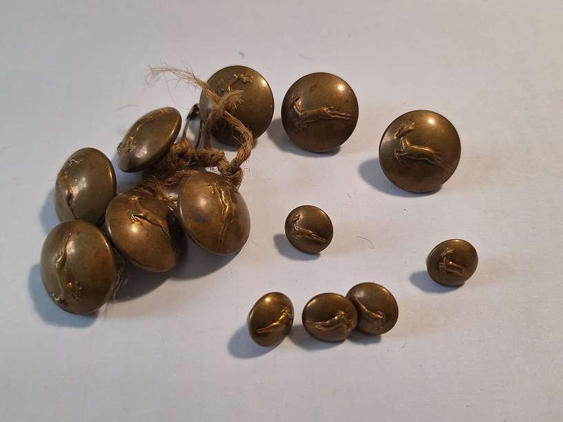 SADF Springbok buttons