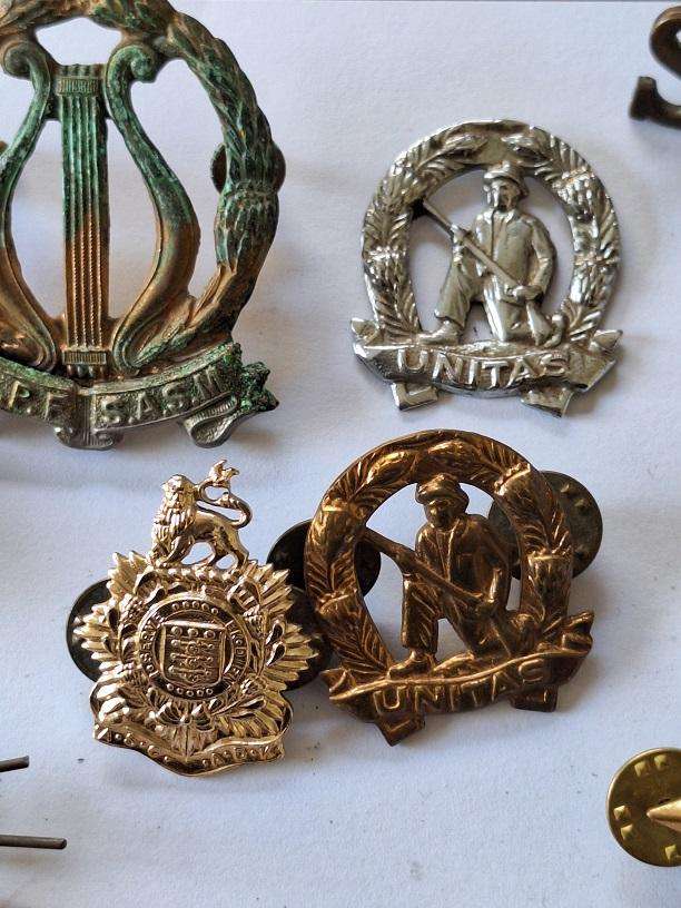 Large selection of Military badges