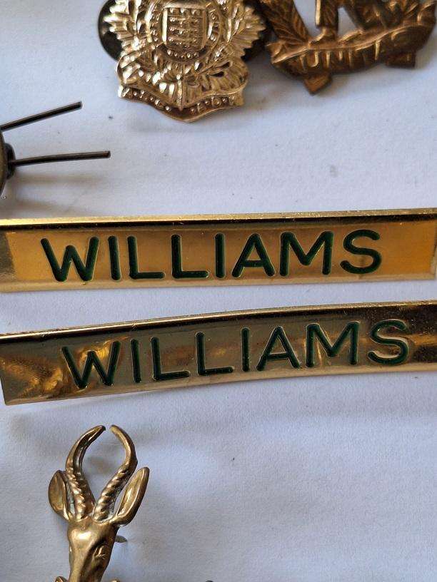 Large selection of Military badges