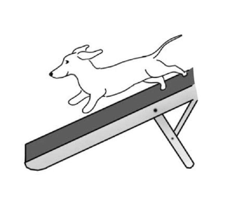Ramp - dogs or cats