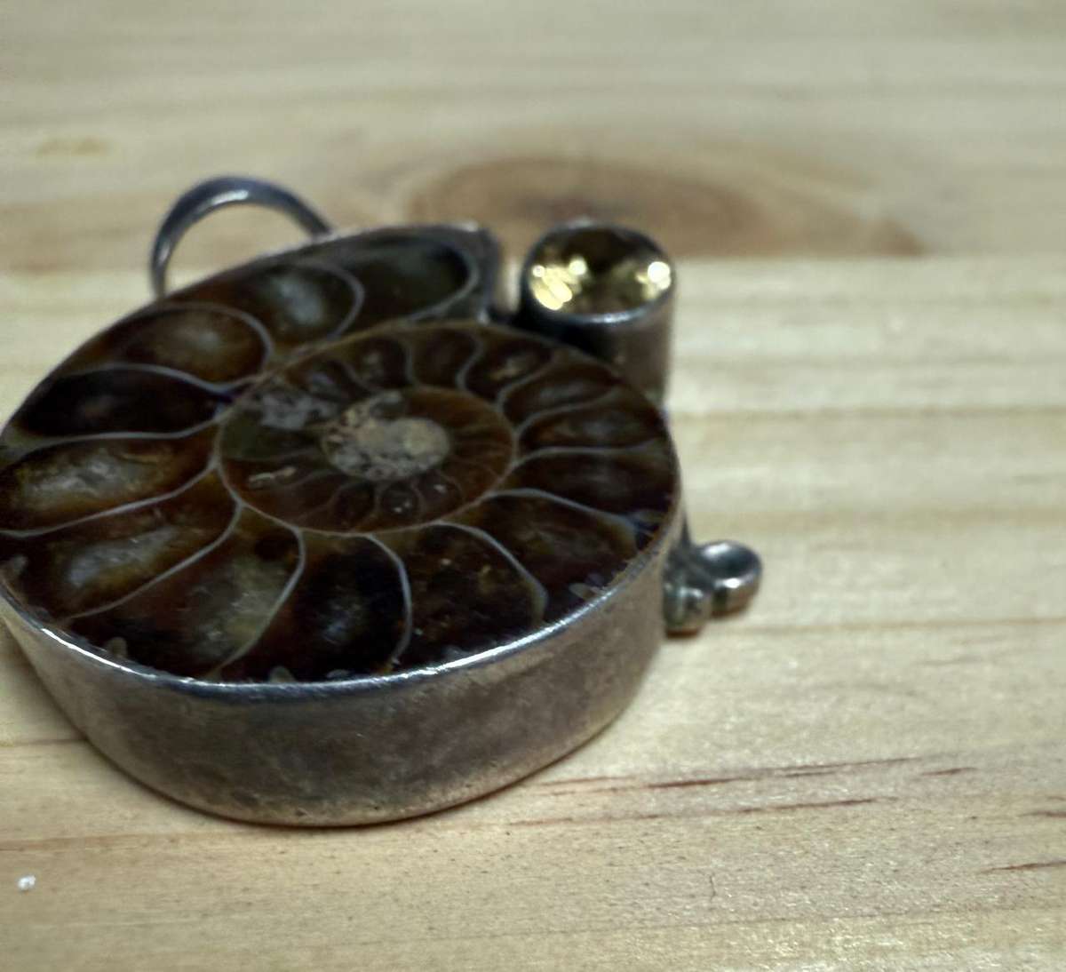 Sterling silver snail "fossil" with citrine stone