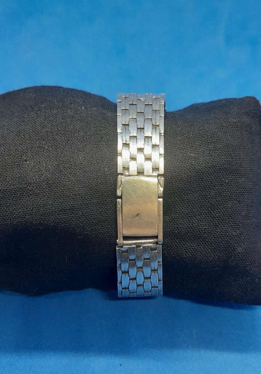 Delfin Edox Watch Silver.