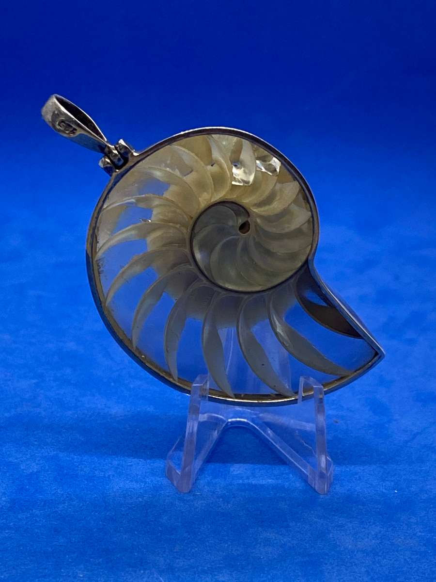 Ammonite encased in silver pendant