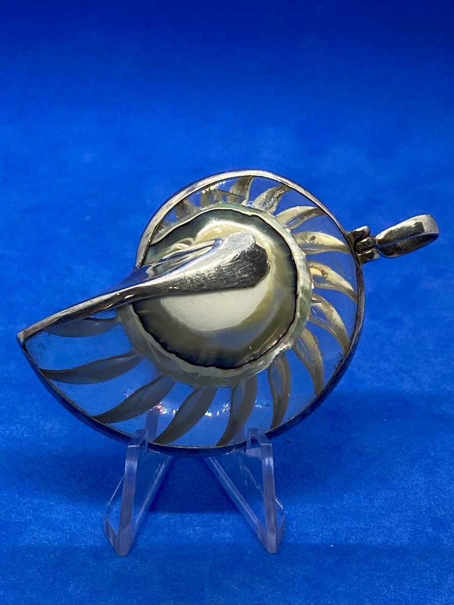 Ammonite encased in silver pendant