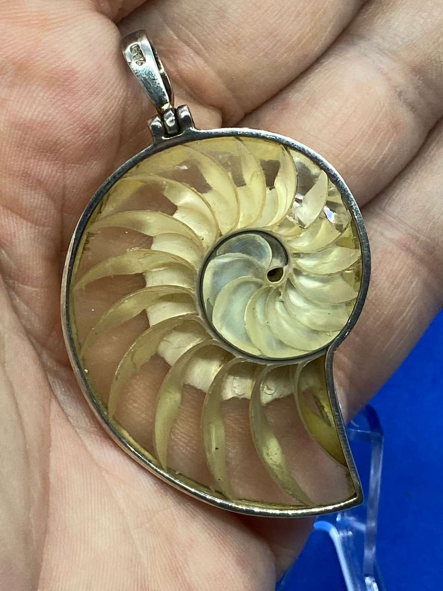 Ammonite encased in silver pendant