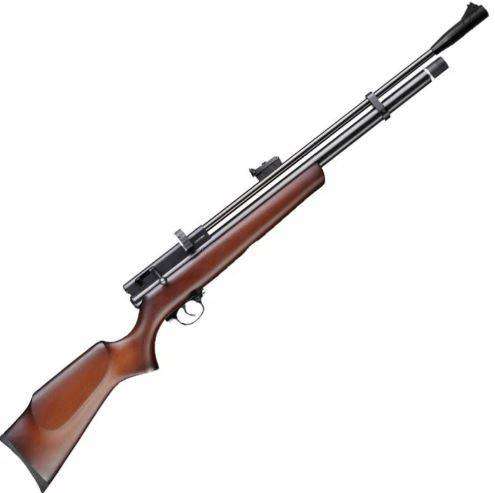 Beeman Chief II 1328  .22 Caliber PCP Air Rifle