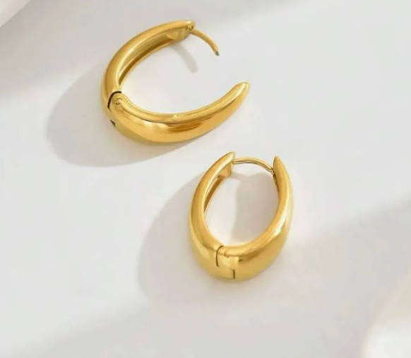 Gold Plated Stainless Steel Crest Style Earrings