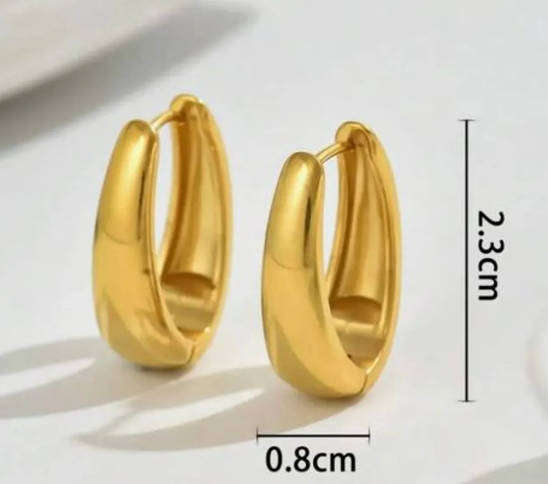 Gold Plated Stainless Steel Crest Style Earrings