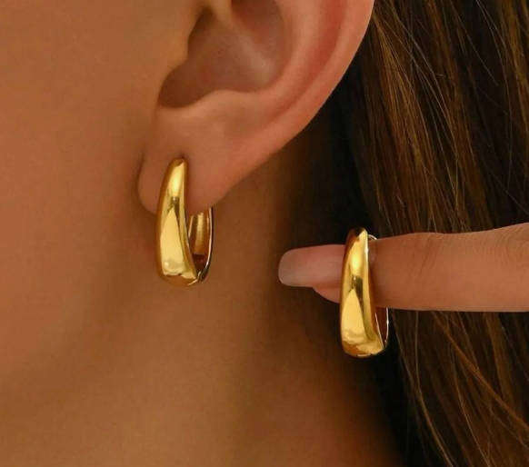 Gold Plated Stainless Steel Crest Style Earrings