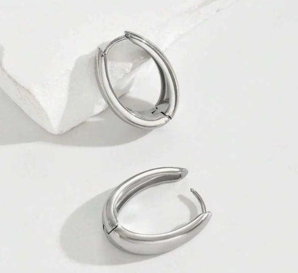 Silver Plated Stainless Steel Crest Style Earrings