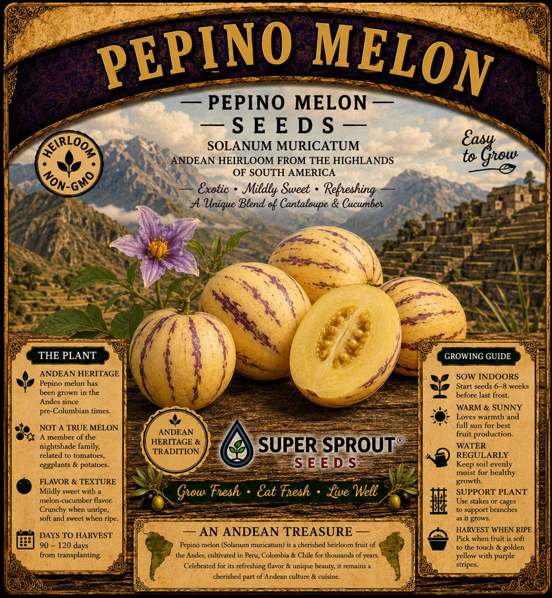 PEPINO MELON × 10 Organic seeds