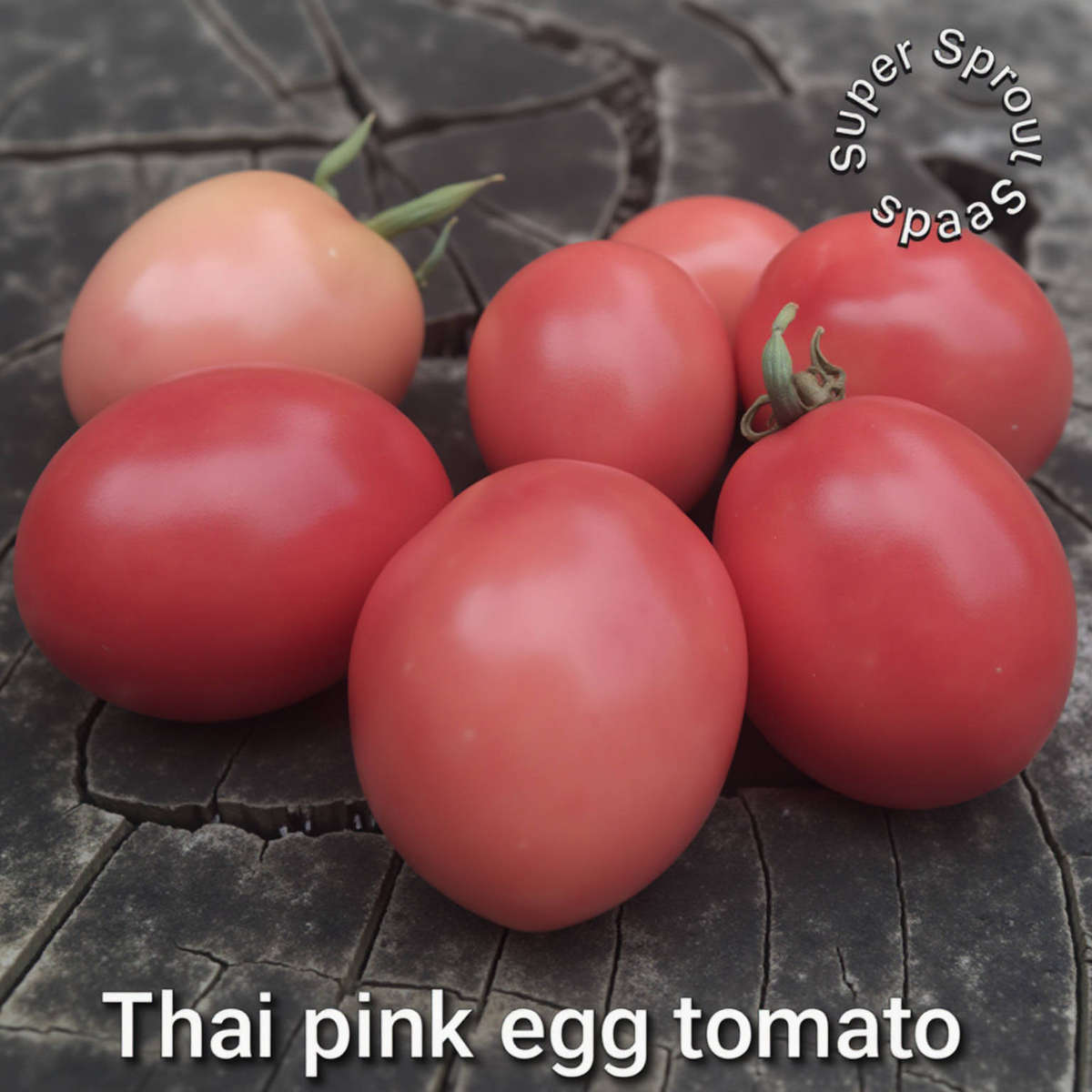 Thai pink egg tomato seeds x 10 seeds